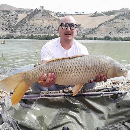R U Ready Fishing, River Ebro Mequinenza Exterior foto