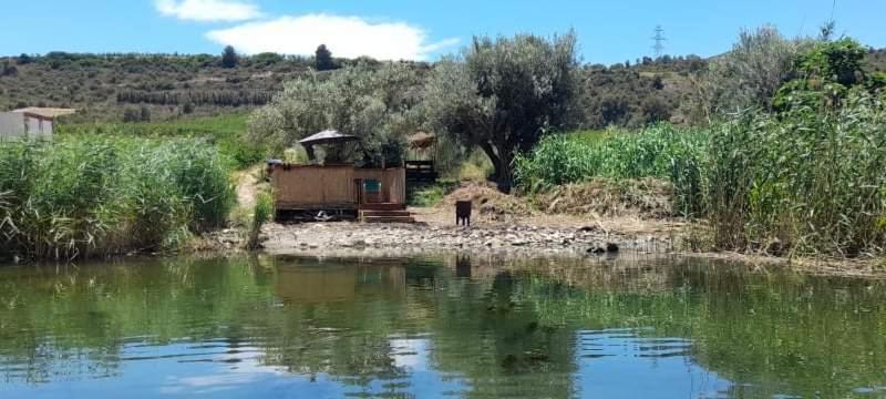 R U Ready Fishing, River Ebro Mequinenza Exterior foto