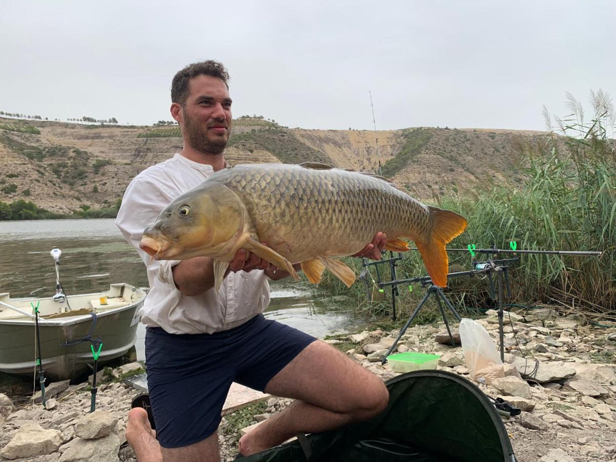 R U Ready Fishing, River Ebro Mequinenza Exterior foto